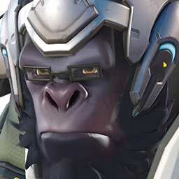 Overwatch item 9