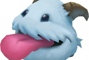 Poro