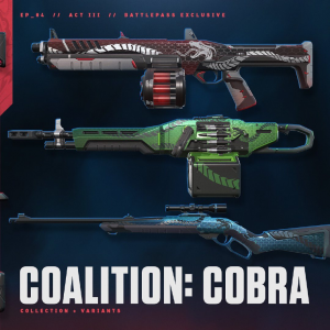 Battlepass 13